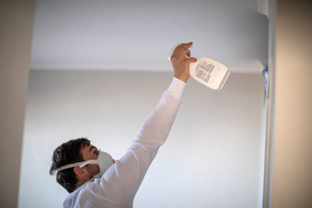 Best Industrial Mold Remediation in East Moriches, NY